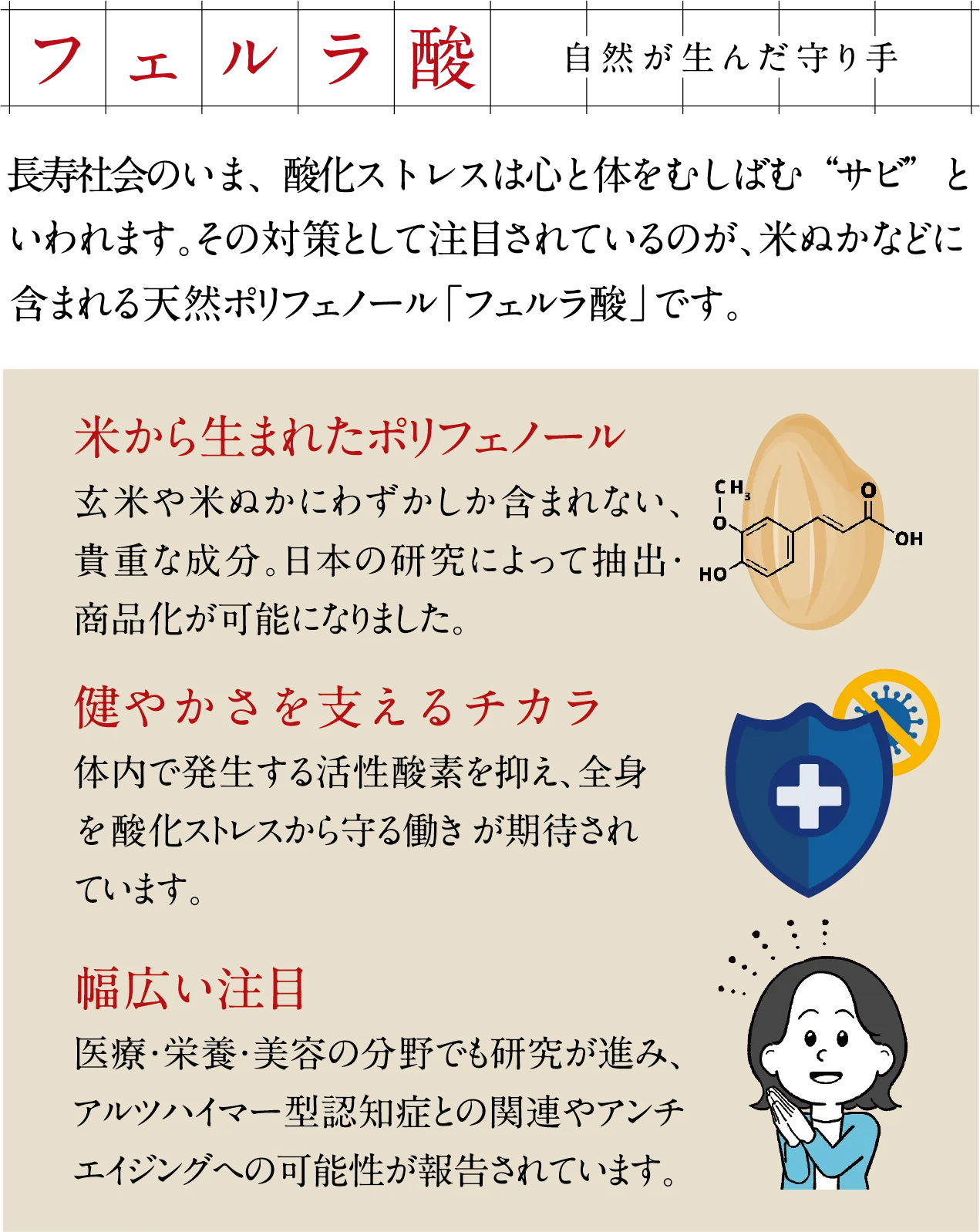 フェルラ酸　自然が生んだ守り手