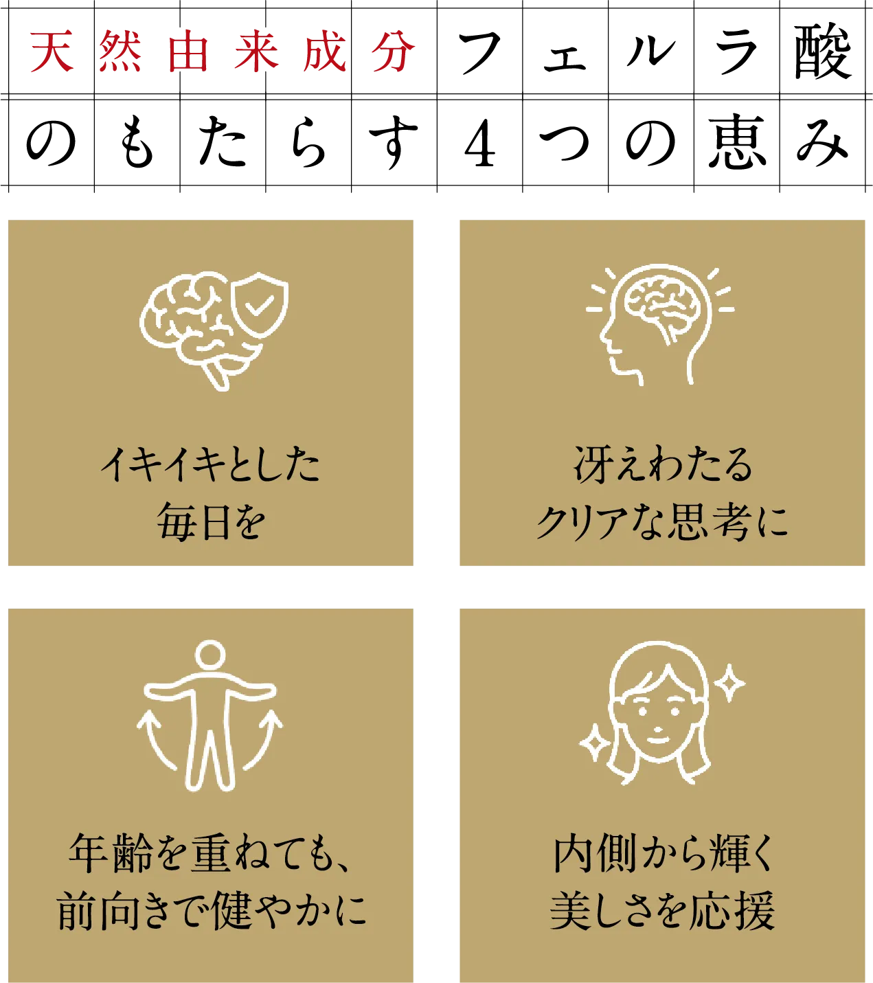 天然由来成分フェルラ酸のもたらす4つの恵み